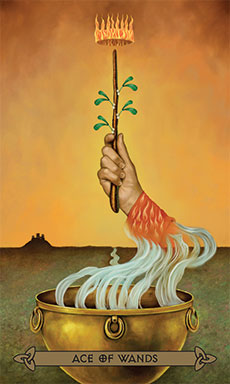 Ace of Wands