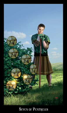Seven of Pentacles