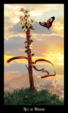 Ace of Wands