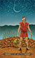 Nine of Wands