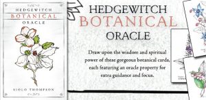 Hedgewitch Botanical Oracle – Llewellyn Unbound